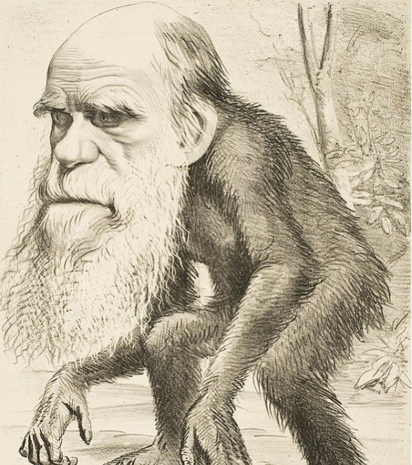 Vì sao khoa học hiện đại không còn xem trọng thuyết tiến hóa của Darwin?