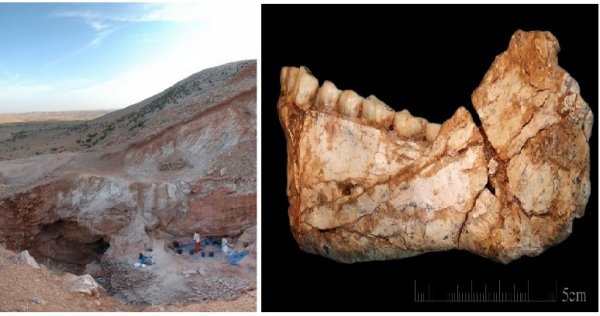 Hộp sọ người hiện đại 300.000 năm tuổi đặt lại câu hỏi về lịch sử loài người