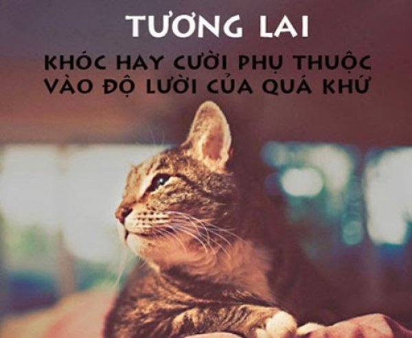 Hình ảnh những câu nói hài hước quên cả mệt mỏi