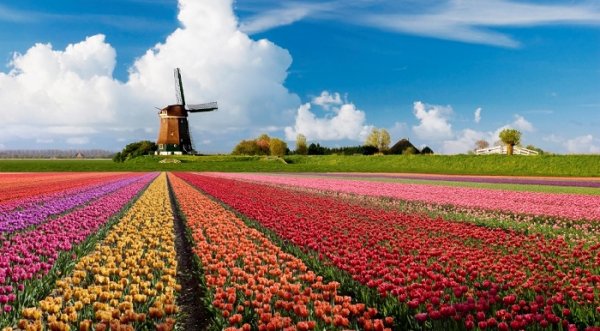 “Holland” và “The Netherlands”, đâu mới là tên gọi chính xác của …