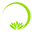 tinhhoa.net-logo