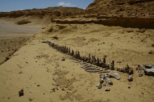 Thung lũng Wadi Al-Hitan hay còn gọi là "Thung lũng cá voi" nằm ở sa mạc Tây, trong một khu vực hẻo lánh, khoảng 150km về phía tây nam thủ đô Cairo, Ai Cập. (Ảnh: Internet)