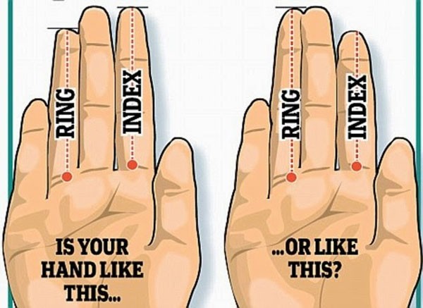 Bàn tay bạn giống hình nào?