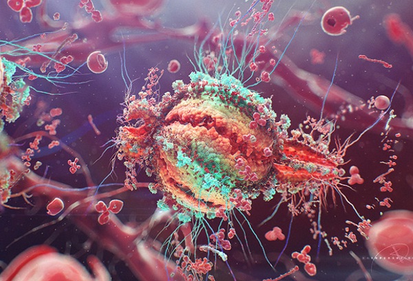 Hình ảnh virus HIV qua kính hiển vi