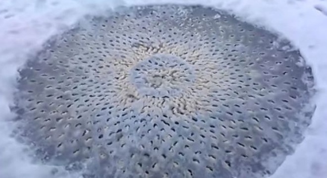 Những quả trứng lạ xếp lại thành vòng tròn xuất hiện trên mặt hồ nước đóng băng.