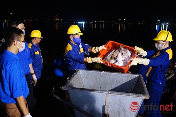 Theo Chủ tịch UBND TP Hà Nội Nguyễn Đức Chung, trong 3 ngày vừa qua (từ 2-4/10), số lượng cá chết tại Hồ Tây đã lên tới 200 tấn. Toàn bộ số cá chết trên đều được mang đi chôn lấp theo tiêu chuẩn tại Trung tâm xử lý rác thải Nam Sơn.