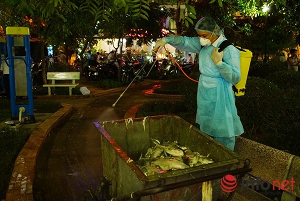 Tất cả số cá vớt lên đều được khử trùng tại chỗ trước khi mang đi xử lý. 