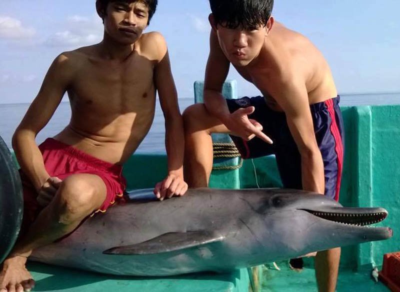 Nhóm ngư dân trẻ đã bắt được 1 chú cá heo. (Ảnh: Facebook NPQ)