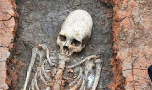 Hộp sọ kéo dài được tìm thấy ở Nga