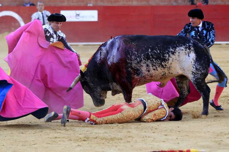 3_39026333_-_10_07_2016_-_spain_bullfighting (1)