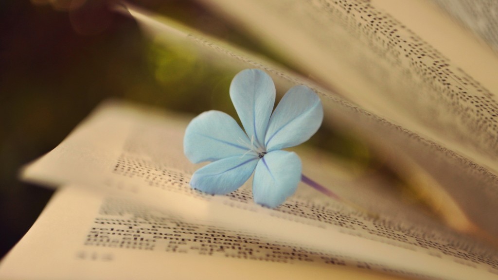 Creative_Wallpaper_Delicate_flower_among_the_pages_of_a_book_097883_
