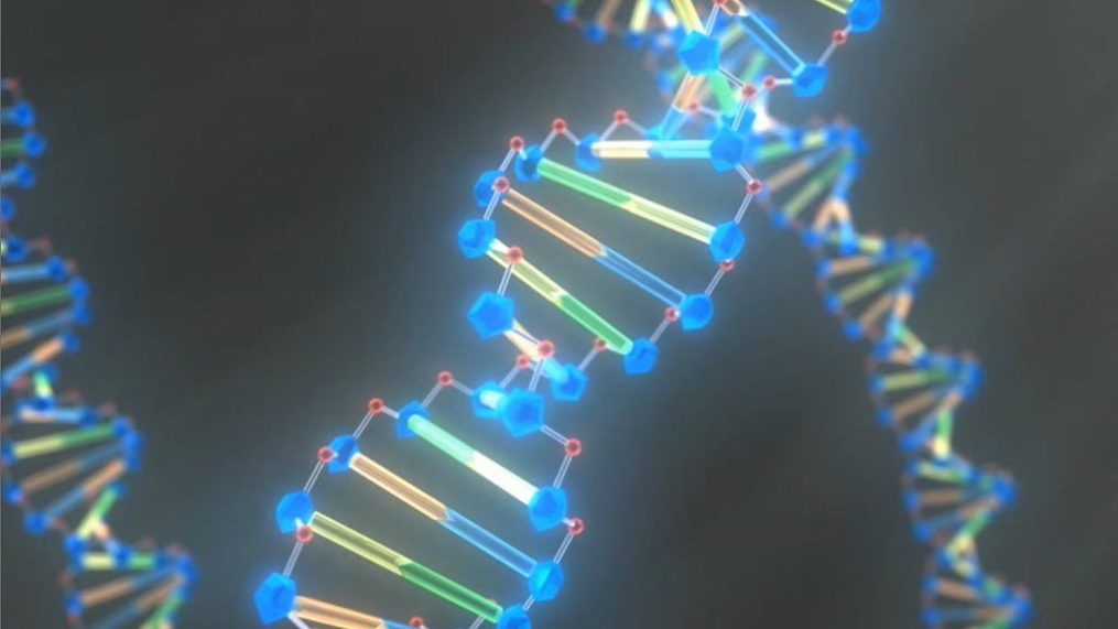 DNA-evoltuion-1024x576