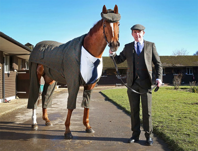 Gentleman-Horse-Gets-a-Tailored-3Piece-Suit