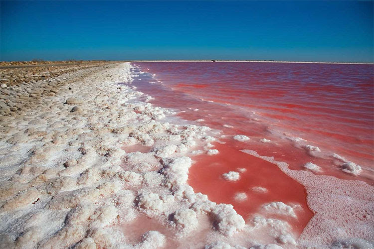 The-Astonishing-Pink-Lake-Hillier-In-Australia