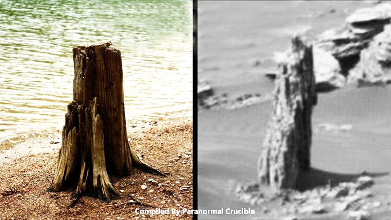 Bức ảnh nghi là thân cây gỗ trên bề mặt sao Hỏa. (Ảnh: Daily Express)