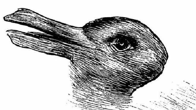 duck-or-rabbit-1480750292384