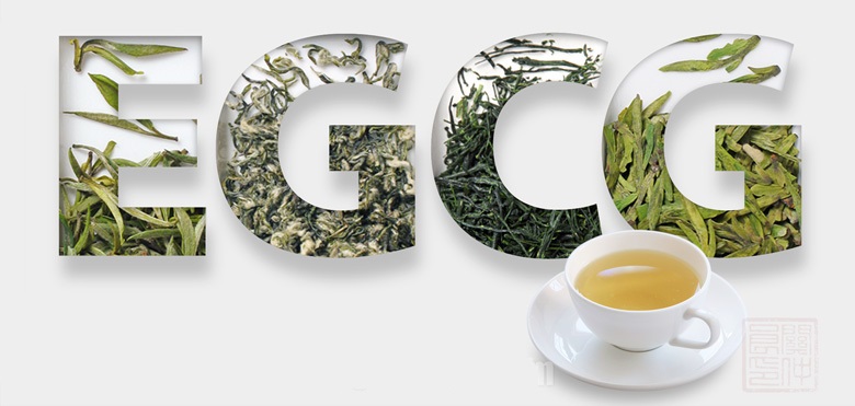 EGCG, tea's most powerful antioxidant