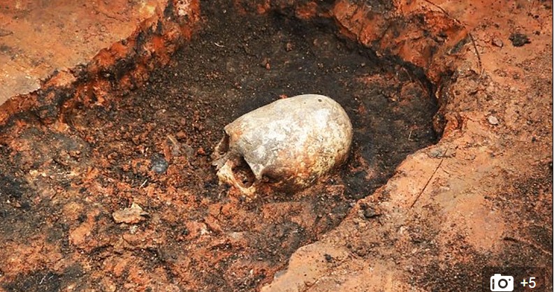 Khai quật được hộp sọ kỳ quái như người ngoài hành tinh ở Nga. 1