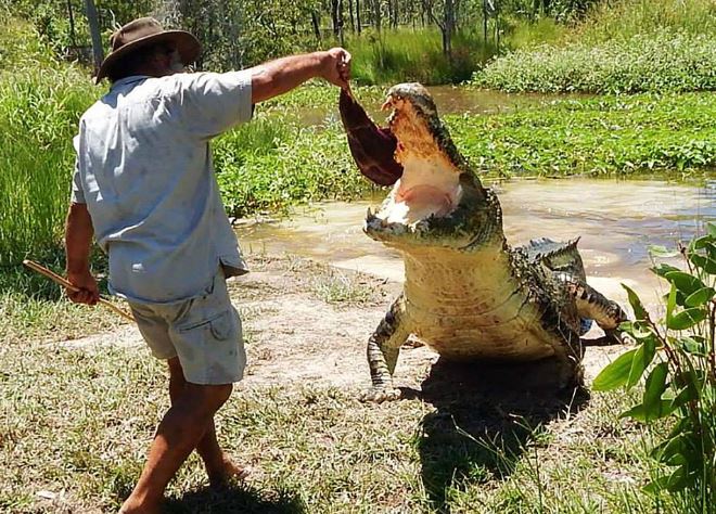 “Dị nhân chân trần” mê chinh phục cá sấu khổng lồ - H2