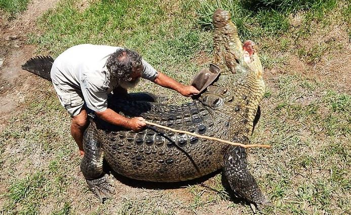“Dị nhân chân trần” mê chinh phục cá sấu khổng lồ - H14