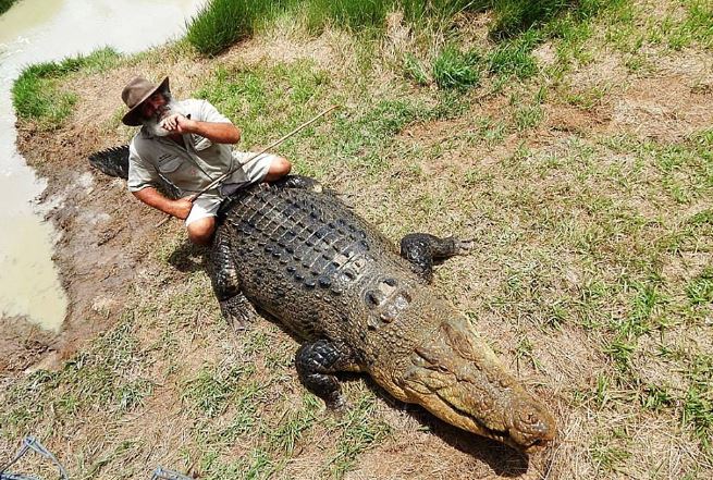 “Dị nhân chân trần” mê chinh phục cá sấu khổng lồ - H6