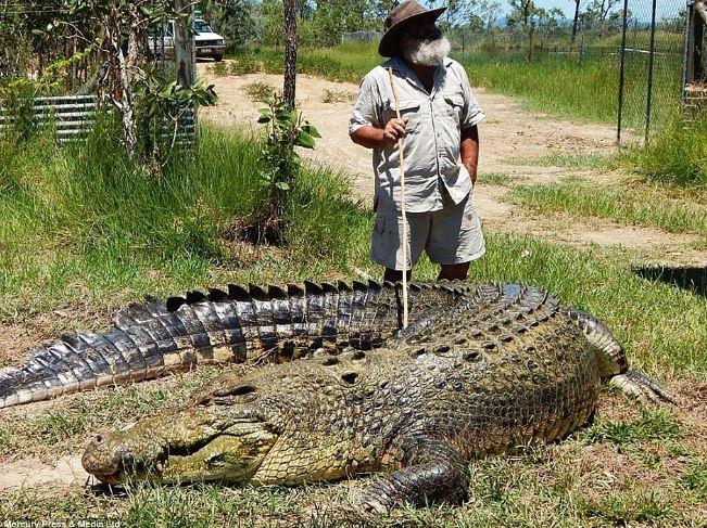 “Dị nhân chân trần” mê chinh phục cá sấu khổng lồ - H7