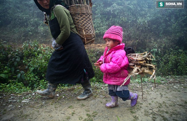 Bé gái Mông mặc 1 chiếc áo khoác ấm do đoàn từ thiện trao tặng đang đi lấy củi cùng mẹ