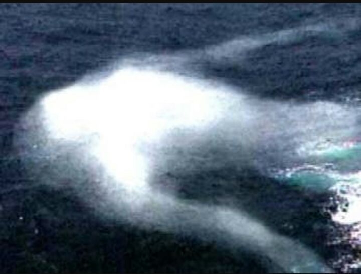 Bí ẩn chưa có lời giải về quái vật biển khổng lồ hình người ở Nam Cực - ảnh 1