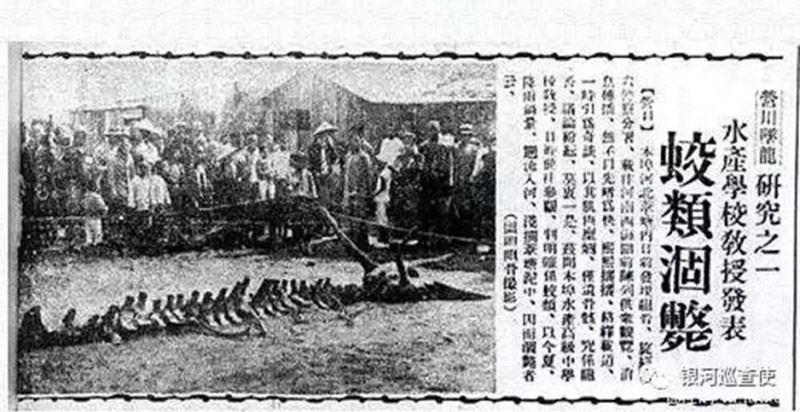Sự thật việc chân long giáng thế ở Liêu Ninh năm 1934 - ảnh 2