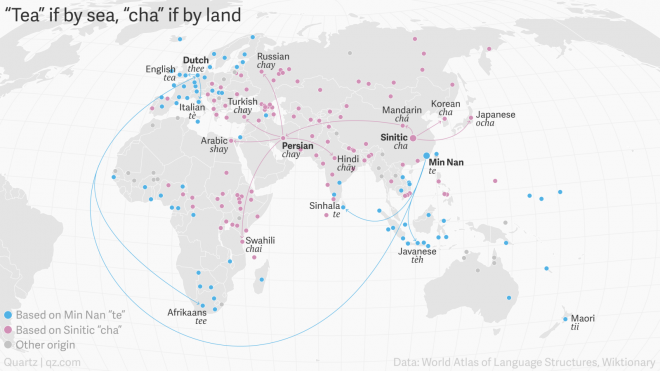 Tại sao thế giới chỉ có hai cách nói từ “trà”?5