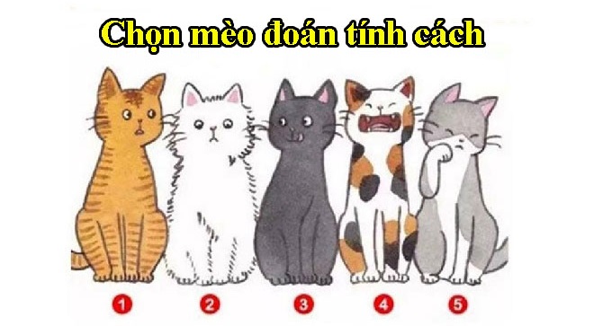 Trắc nghiệm vui: Mỗi chú mèo đại diện cho một nét tính cách của bạn - H1