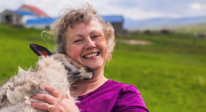Gặp gỡ người phụ nữ cứu loài dê Iceland khỏi tuyệt chủng