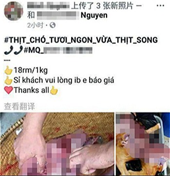 Một đôi vợ chồng người Việt sống tại Malaysia quảng cáo bán thịt chó trên Facebook. 