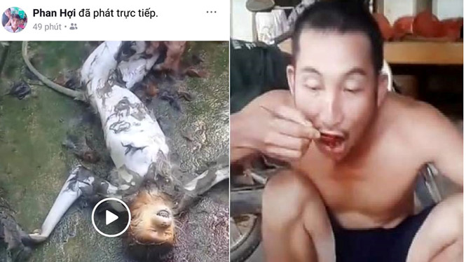 Nhóm người ở xã Hòa Hải, huyện Hương Khê (Hà Tĩnh) đã giết hại một con khỉ và phát trực tiếp trên Facebook. (Ảnh cắt từ clip)
