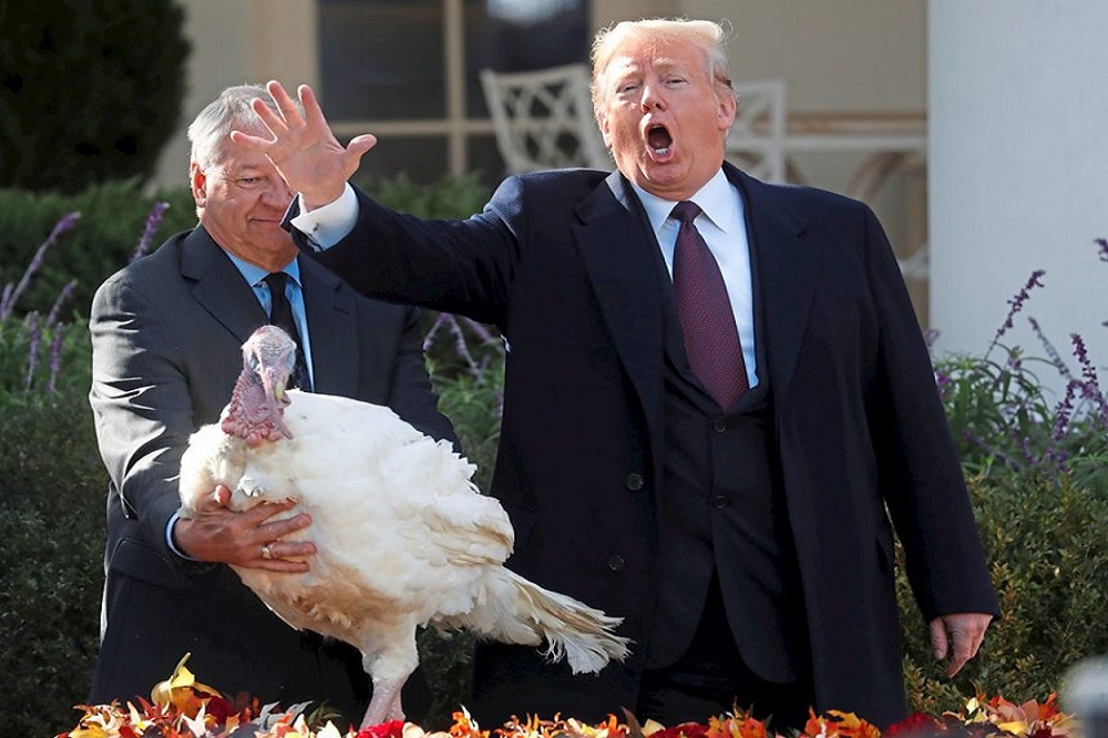 TT Trump ân xá gà tây. (Ảnh: Reuters)