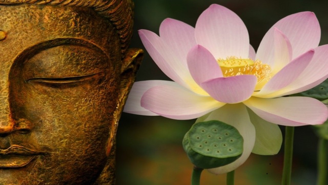 Vậy chữ Phật ấy có hàm nghĩa là gì? Những người như thế nào thì được xưng là “Phật”?
