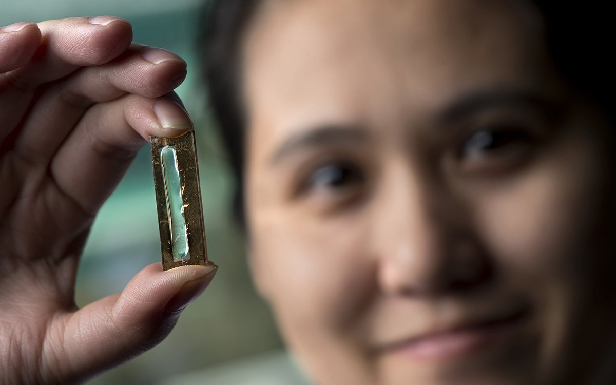 Pin nano được phát triển trong phòng thí nghiệm. (InsideHook)