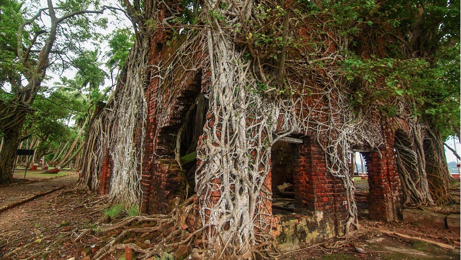 10 công trình kiến trúc bỏ hoang bị tự nhiên "chiếm giữ"