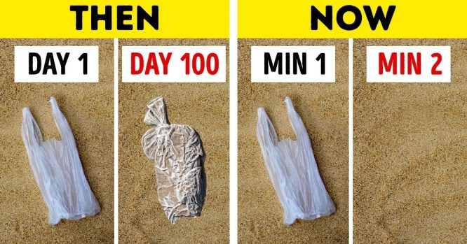 Một phụ nữ phát minh ra loại nhựa mới có thể “hòa tan” trong nước, cứu nguy cho đại dương.2