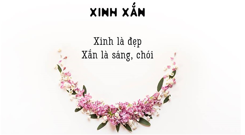 Chúng Ta Thường Hay Nói Vui \'rất Tinh Tế\', Nhưng \'tế\' Nghĩa Là Gì?