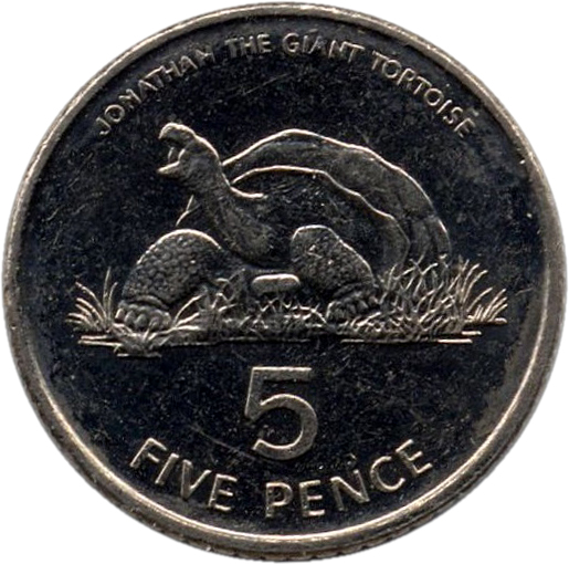 Đồng xu 5 pence có in hình cụ rùa.