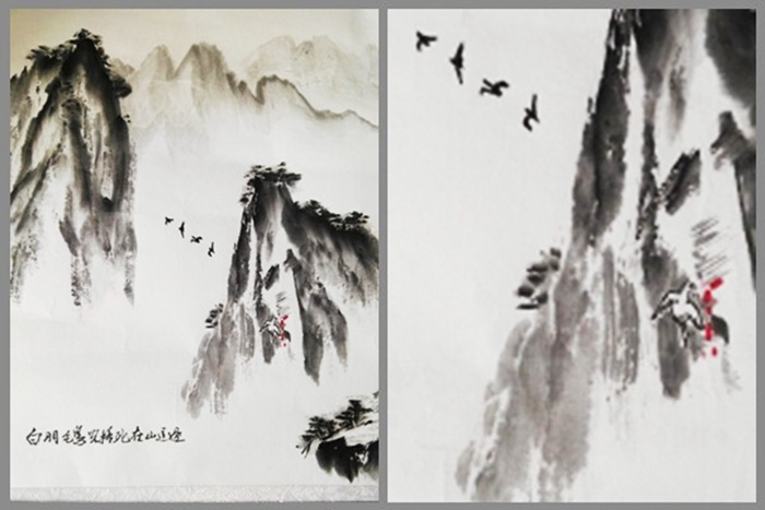 Bên dưới tấm hình viết hàng chữ: “‘Con chim với bộ lông màu trắng’ bị đụng chết ở bên ngọn núi này”. 