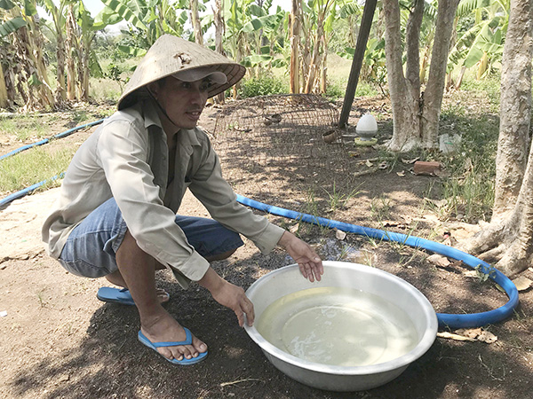 Bà Rịa-Vũng Tàu: Trại heo quy mô lớn nằm đầu nguồn nước sinh hoạt-ảnh 2