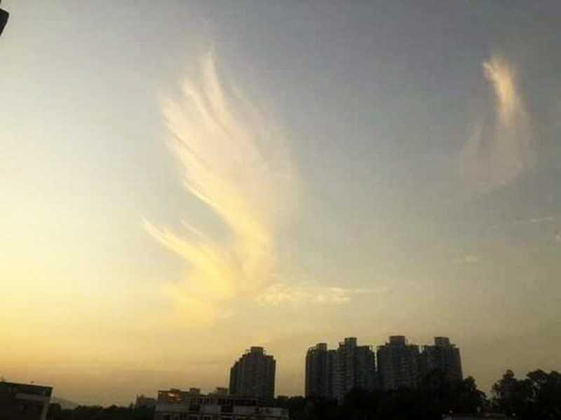Cư dân mạng trên FB còn lan truyền hình ảnh “Mây Phượng Hoàng” 