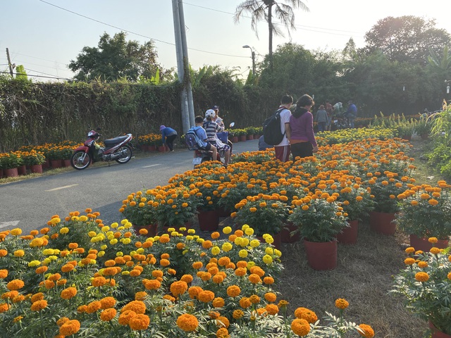 Dù mới ngày 20 tháng Chạp, tuy nhiên đã có hàng trăm người đến mua hoa giúp đỡ anh Phương. (Ảnh qua dantri)