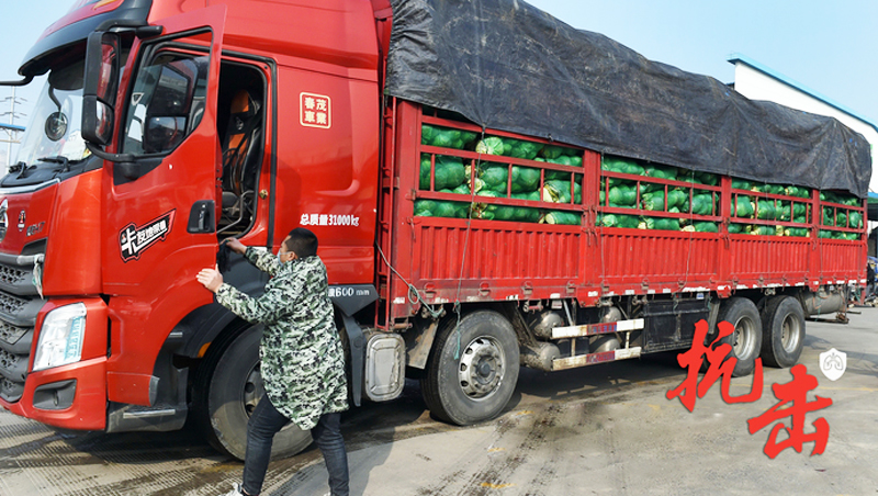 350 tấn rau do thành phố Thọ Quang, tỉnh Sơn Đông quyên tặng đã được vận chuyển đến Vũ Hán
