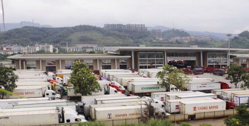 Hàng trăm container chở thanh long đang 'mắc kẹt' tại Cửa khẩu Kim Thành. (Ảnh qua baolaocai)