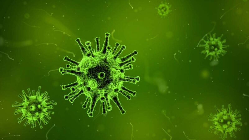 Các học giả Ấn Độ đã phát hiện ra rằng virus viêm phổi Vũ Hán đã được đưa vào gen HIV và có khả năng là nhân tạo
