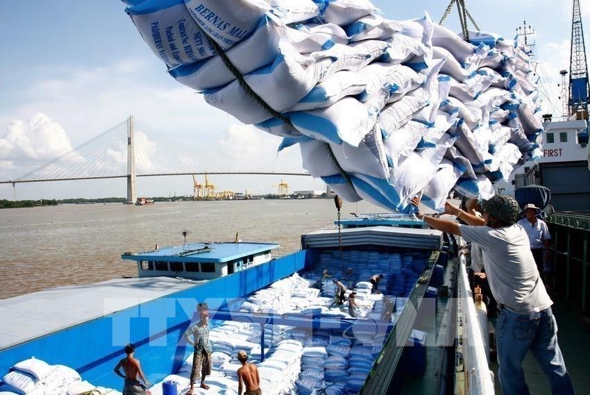 Việt Nam còn dư 6,7 triệu tấn gạo, Bộ Công Thương đề xuất cho tiếp tục xuất khẩu 3