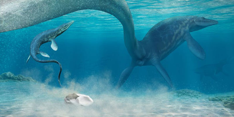 Phát hiện hóa thạch trứng lớn nhất thời đại khủng long 66 triệu năm trước